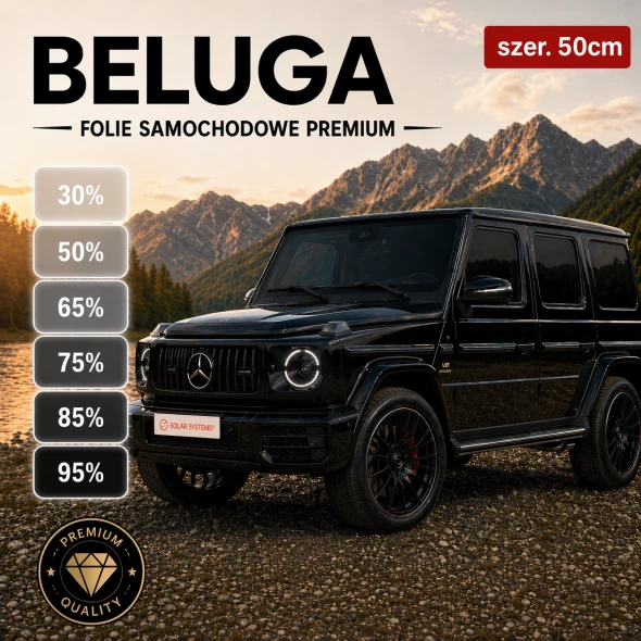 beluga_50cm_square_logo.webp